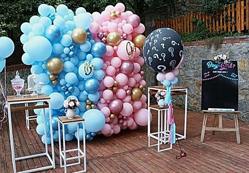 Cinsiyet Partisi Organizasyonu